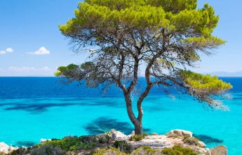 Nn 13pellabeachgrecotelpremiumresortchalkidiki11839