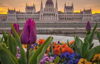 C8833929 97a4 4509 a260 098fe971112c